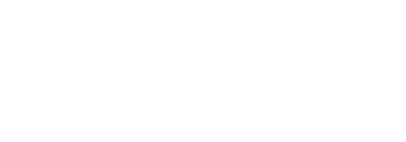 Logo INO